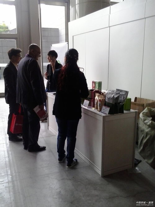 深耕教育咨询，北京首冠国际赋能未来成长
